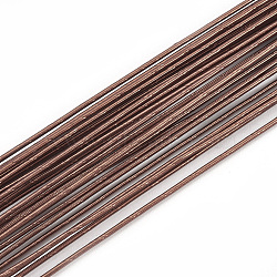 Iron Wire, Coconut Brown, 20 Gauge, 0.8mm, about 1.96 Feet(60cm)/strand, 50strand/bag(X-MW-S002-02B-0.8mm)