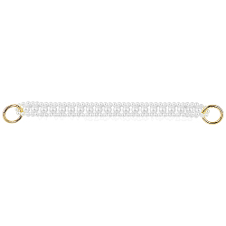 ABS Plastic Bag Handles, with  Zinc Alloy Spring Gate Rings, for Bag Straps Replacement Accessories, Golden, 291x19x12mm, Clasp: 27x3.5mm, 19.5mm Inner Diameter, 1pc/box(FIND-CA0001-38A)