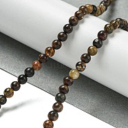 Natural Phlogopite Beads Strands, Round, 4.5mm, Hole: 0.7mm, about 95pcs/strand, 15.94''(40.5cm)(G-P546-A01-01)