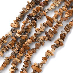 Natural Picture Jasper Beads Strands, Chip, 1.5~4.5x3~13x2.5~8mm, Hole: 0.6mm, 30.94~31.97 inch(78.6~81.2cm)(G-G0003-B16)