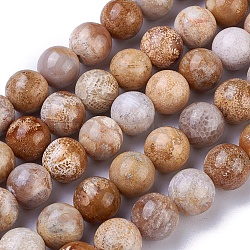 Natural Fossil Coral Beads Strands, Round, 10mm, Hole: 1mm, about 38~40pcs/strand, 15.3~15.7 inches(39~40cm)(G-G779-03A)