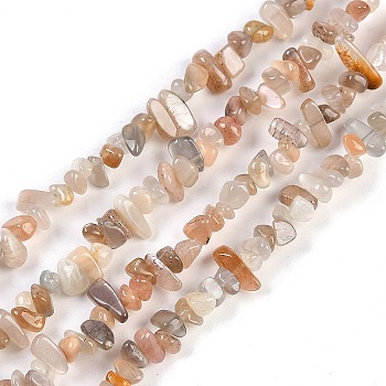 Natural Sunstone Beads Strands, Chip, 4~9x2.5~4x3~5mm, Hole: 1mm, 31.50''(80cm)