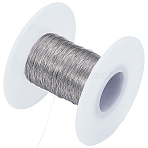 304 Stainless Steel Wires, Round, Stainless Steel Color, 0.2mm, about 328.08 Feet(100m)/Roll(TWIR-WH20001-02A)