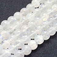 Natural Rainbow Moonstone Beads Strands, Grade AA, Round, 8mm, Hole: 1mm, about 49pcs/strand, 15.5 inch(39.5cm)(G-P342-02A-8mm-AA)