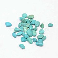 Dyed & Heated Natural Howlite Chip Beads, No Hole/Undrilled, Dark Turquoise, 3~9x1~4mm(X-G-L453-01)