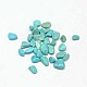 Dyed & Heated Natural Howlite Chip Beads(X-G-L453-01)-1