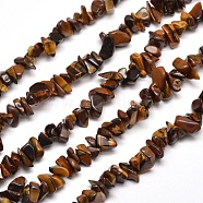 Natural Tiger Eye Chip Bead Strands, 5~8x5~8mm, Hole: 1mm, about 31.5 inch(G-M205-03)