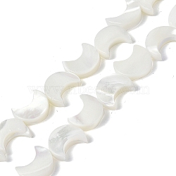 Natural Trochid Shell/Trochus Shell Beads Strands, Crescent Moon, Bleached, White, 10x8x3mm, Hole: 0.8mm, about 39pcs/strand, 15.12 inch(38.4cm)(SSHEL-N032-25A)