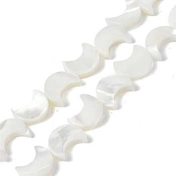 Natural Trochid Shell/Trochus Shell Beads Strands, Crescent Moon, Bleached, White, 10x8x3mm, Hole: 0.8mm, about 39pcs/strand, 15.12 inch(38.4cm)