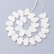 Natural White Shell Beads(X-SSHEL-Q298-07)-2
