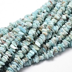 Natural Larimar Chip Beads Strands, 5~14x4~10mm, Hole: 1mm, about 15 inch(X-G-E271-77)