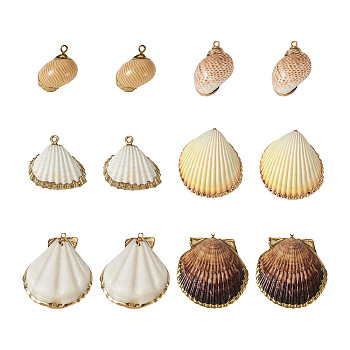 12Pcs 6 Style Shell Pendants, with Brass Findings, Shell & Conch, Golden & Light Gold, 20~51x21~48x4~27mm, Hole: 1.6~2.5mm, 2pcs/style