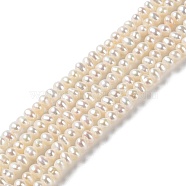 Natural Cultured Freshwater Pearl Beads Strands, Potato, Grade 4A++, PapayaWhip, 3~4x2.8~3.2mm, Hole: 0.5mm, about 138pcs/strand, 15.16~15.24 (38.5~38.7cm)(PEAR-E018-61)