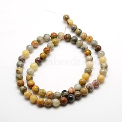 Round Natural Crazy Lace Agate Beads Strands, 6mm, Hole: 1mm, about 63pcs/strand, 15.7 inch(G-P058B-01)