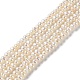 Natural Cultured Freshwater Pearl Beads Strands(PEAR-E018-61)-1