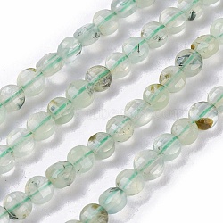 Natural Prehnite Beads Strands, Faceted, Flat Round, 4~4.5x2.5~3mm, Hole: 0.8mm, about 95pcs/strand, 15.3 inch~15.75 inch(39~40cm)(G-I247-24A)