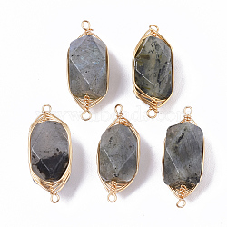 Natural Labradorite Links connectors, Brass Wire Wrapped Links, Faceted, Column, Golden, 22.5~32x9~12x8~9mm, Hole: 1.2mm(G-T131-04A)