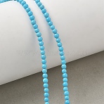 Synthetic Turquoise Beads Strands, Smooth Round, Deep Sky Blue, 2.5mm, Hole: 0.8mm, about 166pcs/strand, 15.35 inch(39cm)(GG-CBA391B-03A-01)