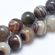 Natural Botswana Agate Beads Strands, Round, 4~5mm, Hole: 0.5mm, about 95pcs/strand, 15.7 inch(40cm)(G-E483-11B-4mm)