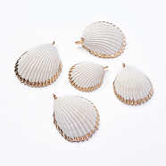Shell Pendants, with Iron Findinggs, Shell, Light Gold, 36~48x29~38x12~15mm, Hole: 2~2.5mm(SHEL-P075-03)