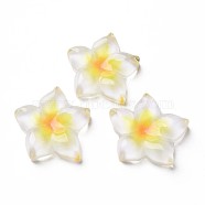 Transparent Epoxy Resin Cabochons, Flower, Yellow, 21x20x5.5mm(CRES-S365-23A)