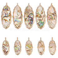 10Pcs 2 Styles Resin  Abalone Paua Shell Pendants, Horse Eye Charms, with Alloy Findings, Colorful, Light Gold, 23.5~37.5x9.5~14.5x2~3mm, Hole: 1~1.2mm, 5pcs/style(FIND-BC0004-61)