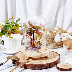 Glass Dome Cover, Decorative Display Case, Cloche Bell Jar Terrarium with Wood Base, Blanched Almond, 113x180mm(AJEW-WH0312-39)