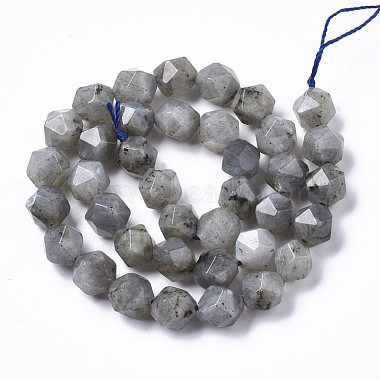 Natural Labradorite Beads Strands(G-R465-33C)-2