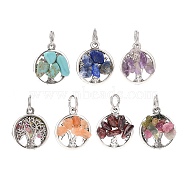 6Pcs 6 Styles Natural & Synthetic Mixed Stone Chip Pendants, Tree of Life Charms, with Antique Silver Tone Alloy Findings, Round, 18.5x15.5~16x4~5mm, Hole: 5mm, 1pc/style(PALLOY-JF01946-01)