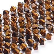 Natural Tiger Eye Beads Strands, Faceted, with Seed Beads, Bicone, 9x9mm, Hole: 1.2mm, about 35~40pcs/strand, 16.14~16.33 inch(41~41.5cm)(G-Z014-05)