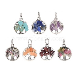 6Pcs 6 Styles Natural & Synthetic Mixed Stone Chip Pendants, Tree of Life Charms, with Antique Silver Tone Alloy Findings, Round, 18.5x15.5~16x4~5mm, Hole: 5mm, 1pc/style(PALLOY-JF01946-01)