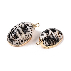 Natural Sea Shell Pendants, Shell Shaped Charms with Golden Tone Iron Loops, Black, 23~34x15~21x9~14mm, Hole: 1.6~1.8mm(SSHEL-N038-47)