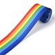 Rainbow Polyester Ribbon(OCOR-G008-02)-2