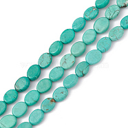 Natural Howlite Beads Strands, Dyed, Flat Oval, Dark Turquoise, 9x7~8x3~4mm, Hole: 0.6mm, about 43pcs/strand, 15.35''~15.71''(39~39.9cm)(G-P494-B01)