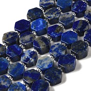 Natural Lapis Lazuli Beads Strands, Hexagon, with Seed Beads, 8.5~9x8.5~10x4~5mm, Hole: 1mm, about 17~18pcs/strand, 7.48''(19cm)(G-P534-A12-01)