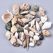 Natural Spiral Shell Pendants, Mixed Color, 20~76x10~53x10~34mm, Hole: 1.2~2mm(SSHEL-N035-02)