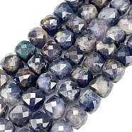 Natural Iolite Beads Strands, Faceted, Cube, 6~7x6~7x6~7mm, Hole: 0.8mm, about 62pcs/strand, 15.35 inch(39cm)(G-C127-C01-01)