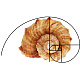 2Pcs Golden Ratio Plastic Fibonacci Composition View Finder(AJEW-DR0001-85A)-5