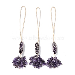 Natural Amethyst Reiki Healing Wall Hanging Pendant, Stones Tassels Fengshui Ornament, for Car Home Decoration, 230~240mm(HJEW-C005-01C)