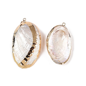 Natural Paua Shell Pendants, Shell Shaped Charms with Golden Tone Iron Loops, White, 35~48.5x19~29x5~8mm, Hole: 1.4~1.8mm