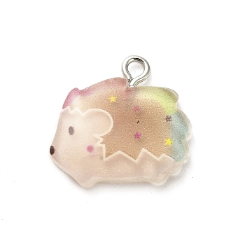 Translucent Resin Pendants, Animals Charms with Platinum Plated Iron Loops, Hedgehog, 18x19x3.6mm, Hole: 1.7mm