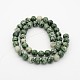 Brins de perles rondes en jaspe tache verte naturelle(G-P070-45-6mm)-2