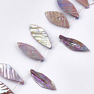 Freshwater Shell Beads Strands, Top Drilled Beads, Dyed, AB Color, Leaf, Violet, 39~55x11~25x4~9mm, Hole: 1mm, about 14~16pcs/strand, 15.3 inch(SHEL-T012-51D)