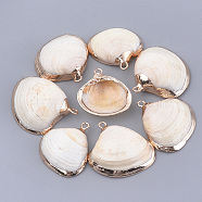 Electroplate Shell Pendants, with Iron Findings, Golden, Seashell Color, 26~40x25~42x8~15mm, Hole: 1.5~1.8mm(SSHEL-T009-18)