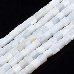 Natural Freshwater Shell Beads Strands, Column, 3x3mm, Hole: 0.9mm, about 135~139pcs/strand, 15.04 inch~15.55 inch(38.2~39.5cm)(SHEL-N034-29A-01)