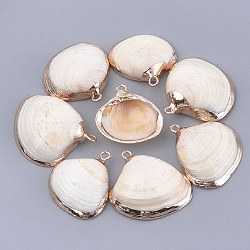 Electroplate Shell Pendants, with Iron Findings, Golden, Seashell Color, 19~40x17~42x5~15mm, Hole: 1.5~1.8mm(SSHEL-T009-18)