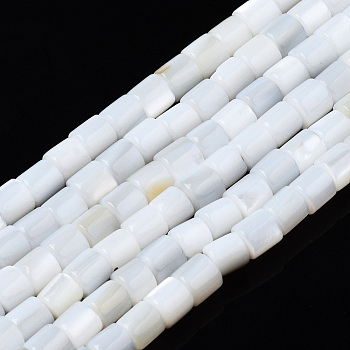 Natural Freshwater Shell Beads Strands, Column, 3x3mm, Hole: 0.9mm, about 135~139pcs/strand, 15.04 inch~15.55 inch(38.2~39.5cm)