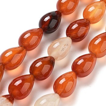 Natural Red Agate Beads Strands, Teardrop, 12x8mm, Hole: 1.2mm, about 33~34pcs/strand, 15.16~16.54''(38.5~42cm)