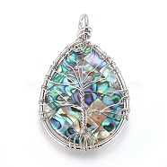 Abalone Shell/Paua Shell Wire Wrapped Big Pendants, with Brass Findings, teardrop, with Tree, Platinum, 55.5~57.5x34.5~35.5x7.5~9.5mm, Hole: 4.5x5.5mm(SSHEL-L008-58P)