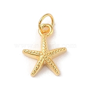 925 Sterling Silver Starfish Charms, with Jump Rings & 925 Stamp, Golden, 8x6.4x2mm, Hole: 1.6mm(STER-K181-04G)